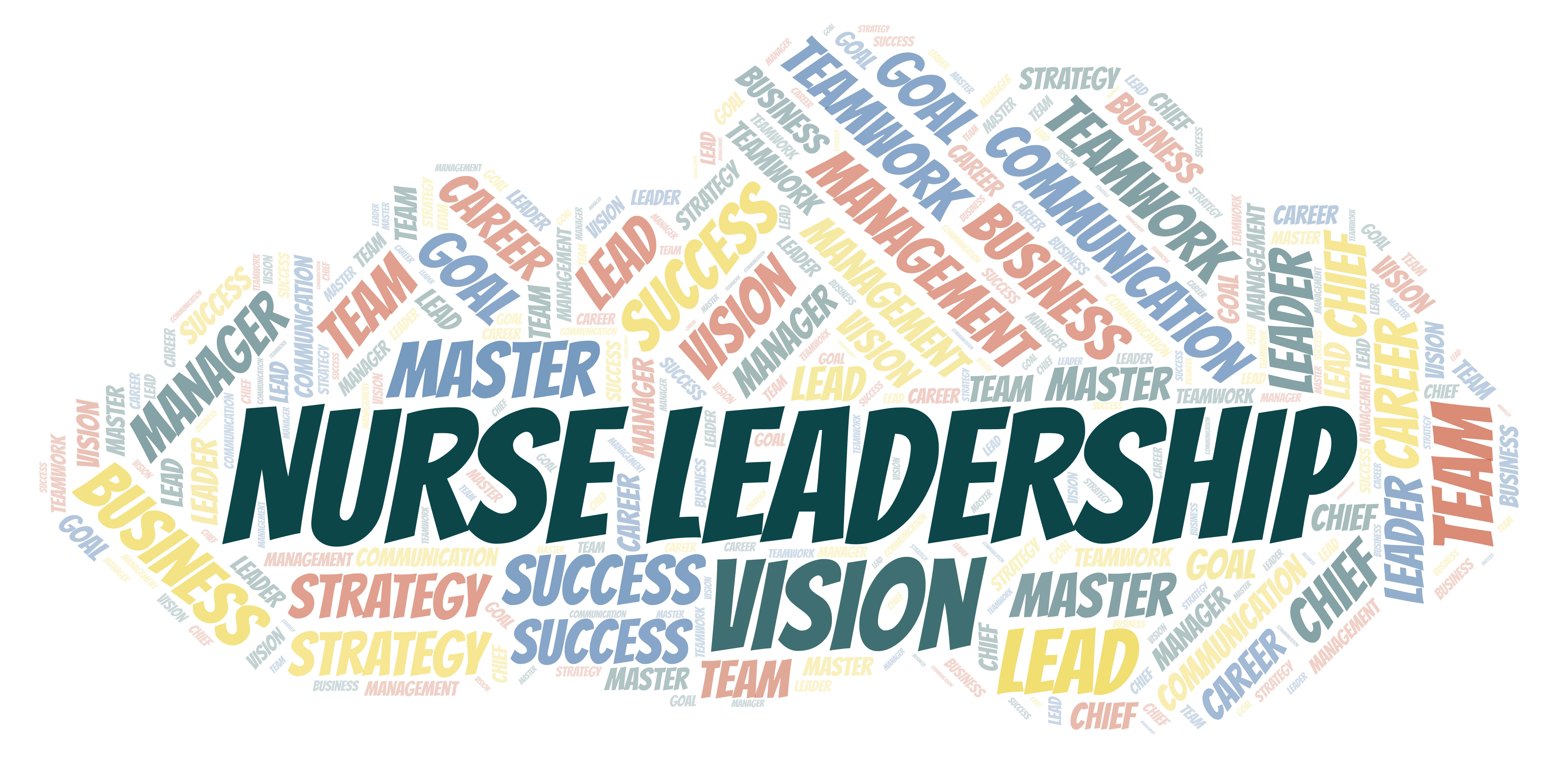 NURS 494 Leadership And Management In Nursing